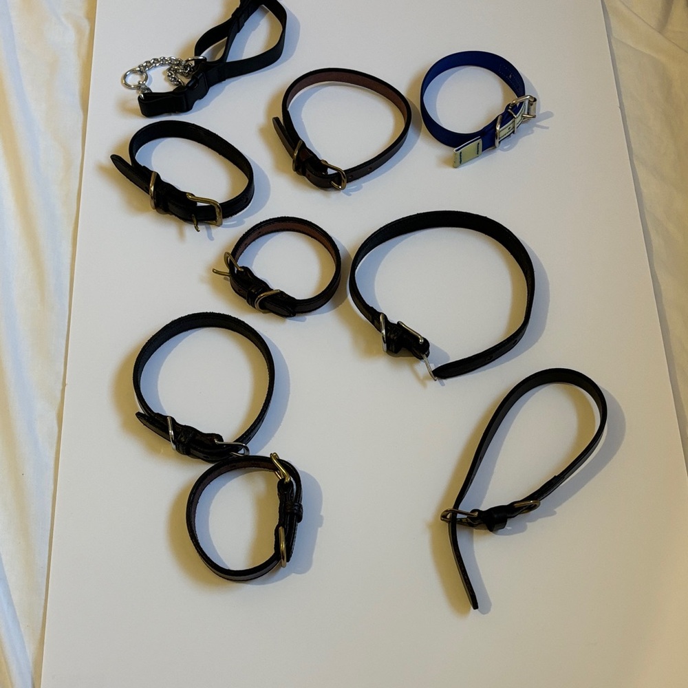 Mixed Leather Dog Collars in Black, Brown & Navy